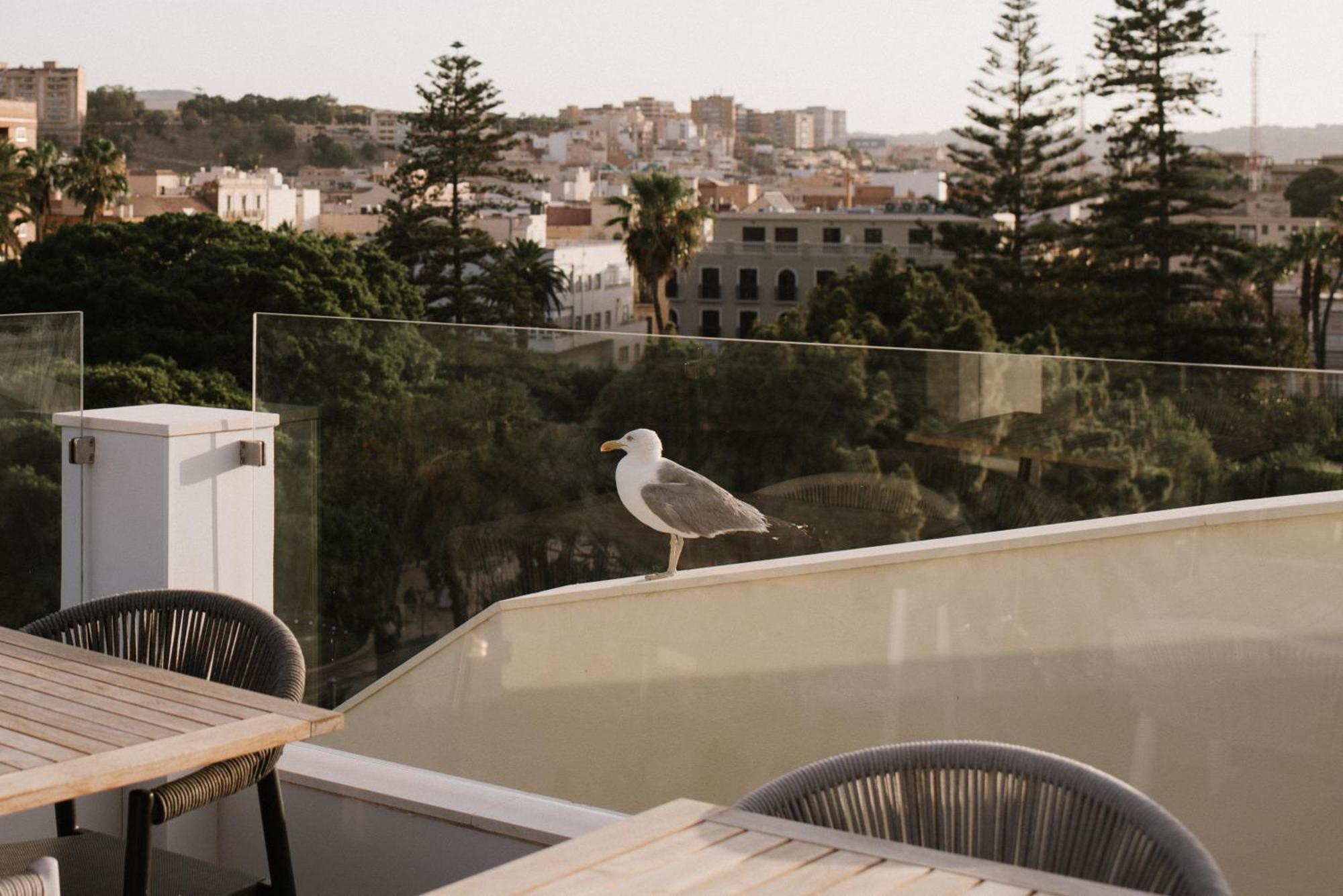 Hotel Melilla Centro מראה חיצוני תמונה